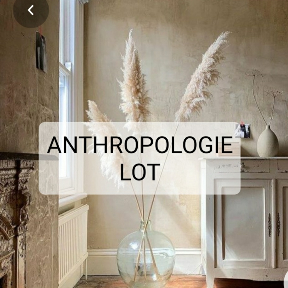 Anthropologie reseller lot Clothes Bundle 10 pcs